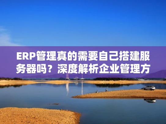 ERP管理真的需要自己搭建服务器吗？深度解析企业管理方式的变革