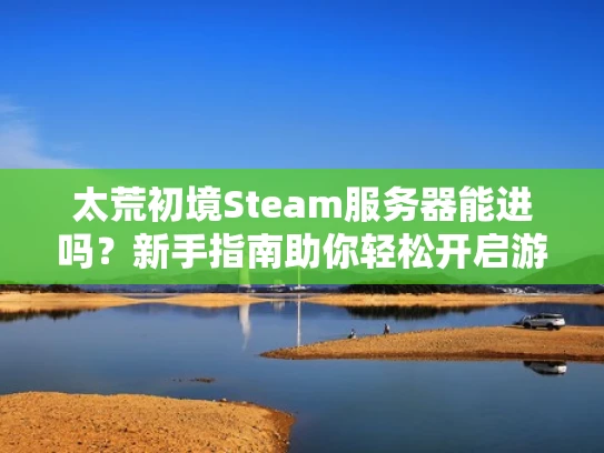 太荒初境Steam服务器能进吗？新手指南助你轻松开启游戏之旅