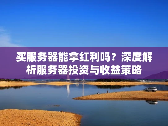 买服务器能拿红利吗？深度解析服务器投资与收益策略