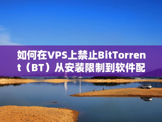 如何在VPS上禁止BitTorrent（BT）从安装限制到软件配置全解析