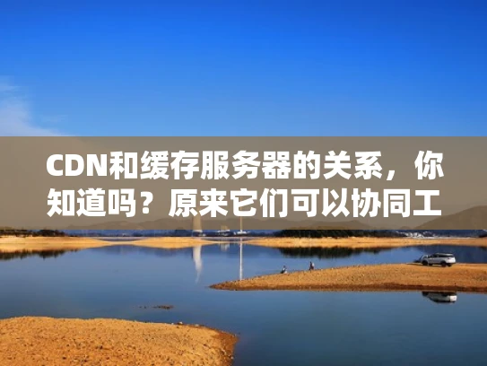 CDN和缓存服务器的关系，你知道吗？原来它们可以协同工作