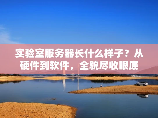 实验室服务器长什么样子？从硬件到软件，全貌尽收眼底