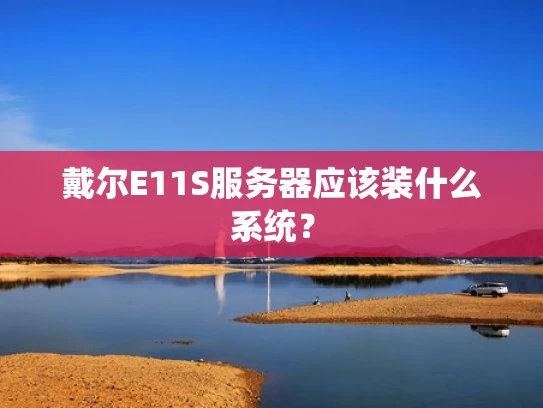 戴尔E11S服务器应该装什么系统？