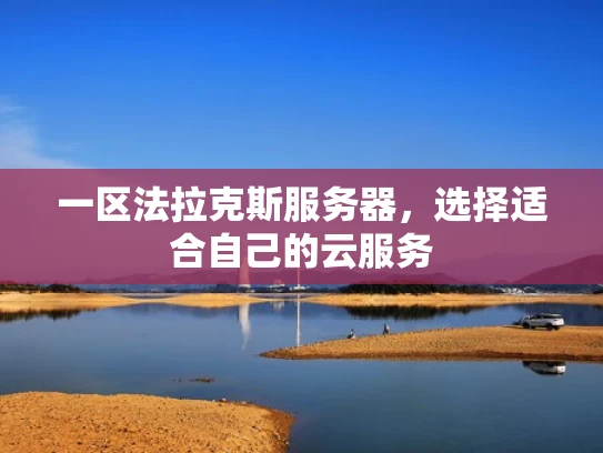 一区法拉克斯服务器，选择适合自己的云服务