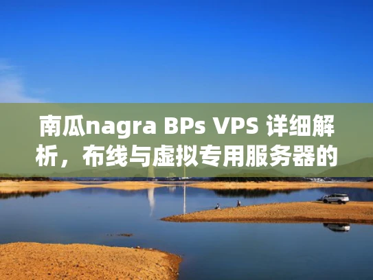 南瓜nagra BPs VPS 详细解析，布线与虚拟专用服务器的全方面指南