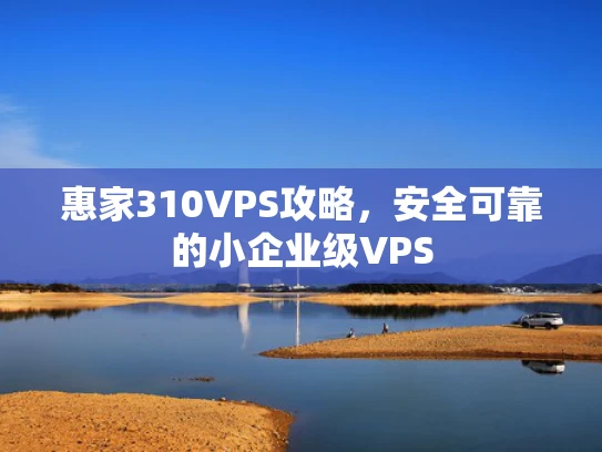惠家310VPS攻略，安全可靠的小企业级VPS