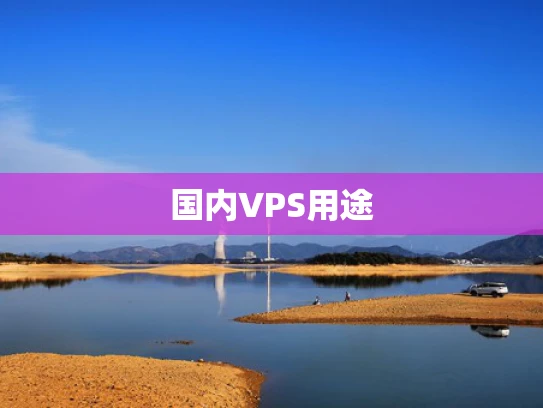 国内VPS用途