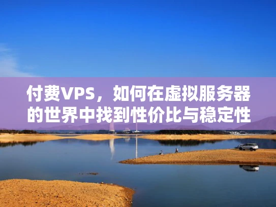 付费VPS，如何在虚拟服务器的世界中找到性价比与稳定性的平衡？