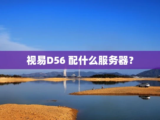 视易D56 配什么服务器？