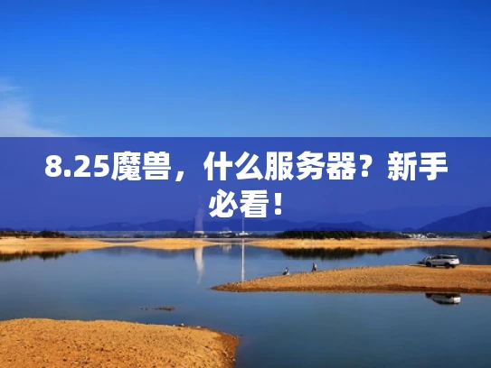 8.25魔兽，什么服务器？新手必看！