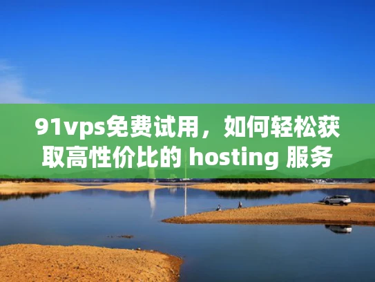 91vps免费试用，如何轻松获取高性价比的 hosting 服务？