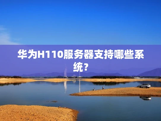 华为H110服务器支持哪些系统？