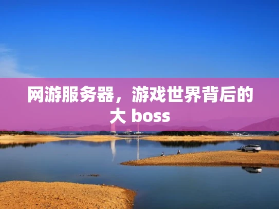 网游服务器，游戏世界背后的大 boss