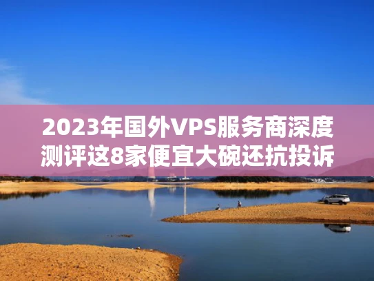 2023年国外VPS服务商深度测评这8家便宜大碗还抗投诉