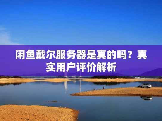 闲鱼戴尔服务器是真的吗？真实用户评价解析