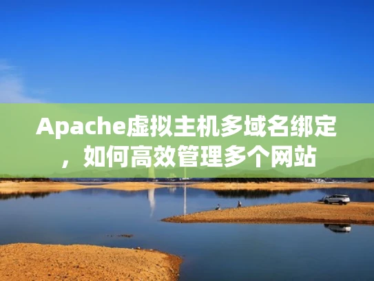 Apache虚拟主机多域名绑定，如何高效管理多个网站