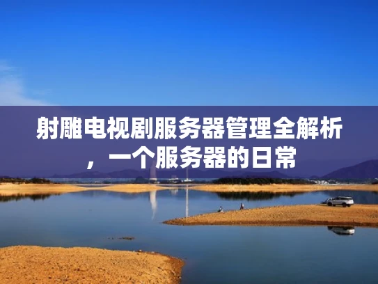 射雕电视剧服务器管理全解析，一个服务器的日常