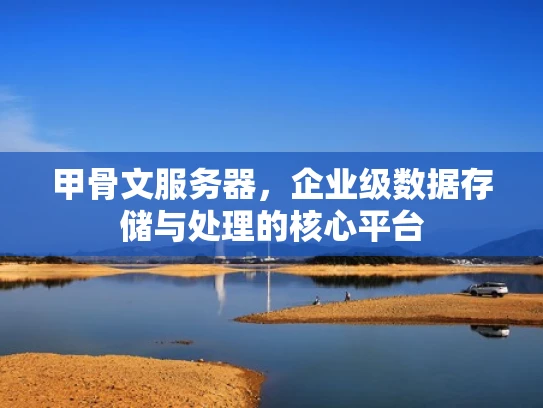 甲骨文服务器，企业级数据存储与处理的核心平台