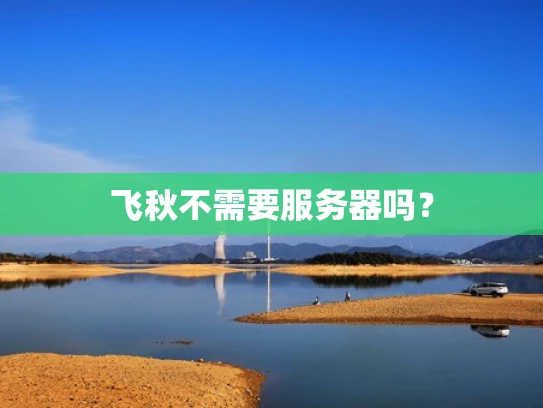 飞秋不需要服务器吗？