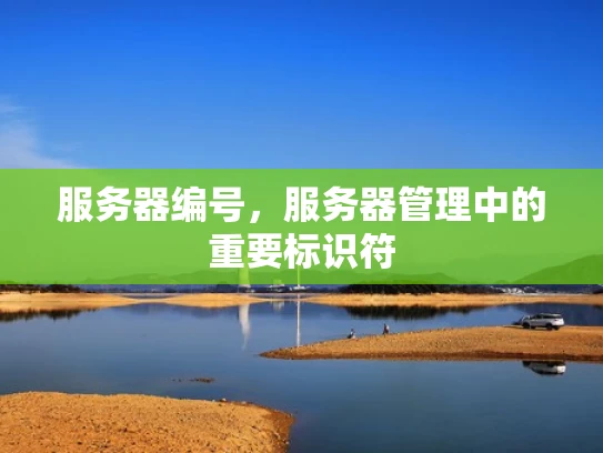 服务器编号，服务器管理中的重要标识符