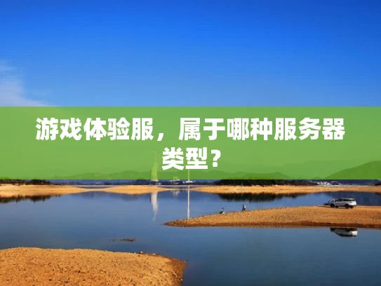 游戏体验服，属于哪种服务器类型？