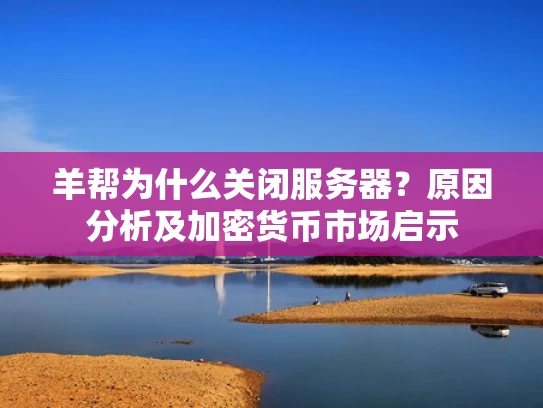 羊帮为什么关闭服务器？原因分析及加密货币市场启示