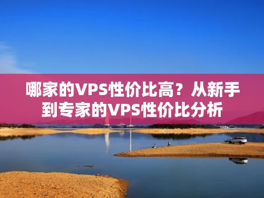 哪家的VPS性价比高？从新手到专家的VPS性价比分析