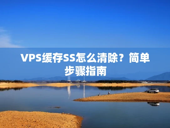 VPS缓存SS怎么清除？简单步骤指南
