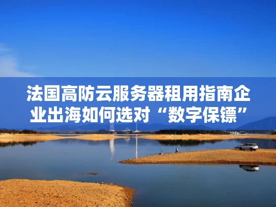 法国高防云服务器租用指南企业出海如何选对“数字保镖”？