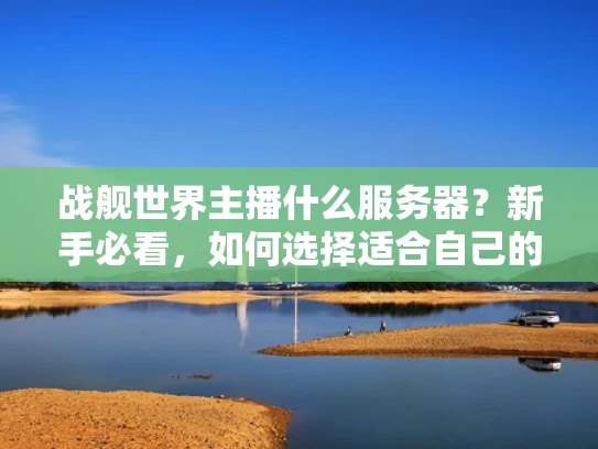 战舰世界主播什么服务器？新手必看，如何选择适合自己的服务器