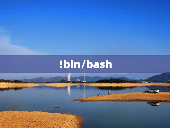 !bin/bash
