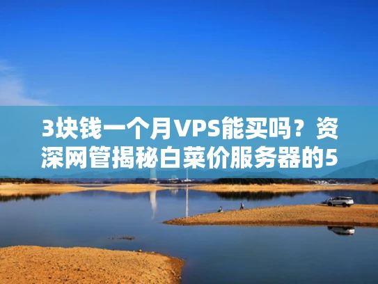 3块钱一个月VPS能买吗？资深网管揭秘白菜价服务器的5个致命陷阱