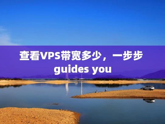 查看VPS带宽多少，一步步 guides you