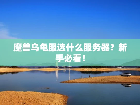 魔兽乌龟服选什么服务器？新手必看！