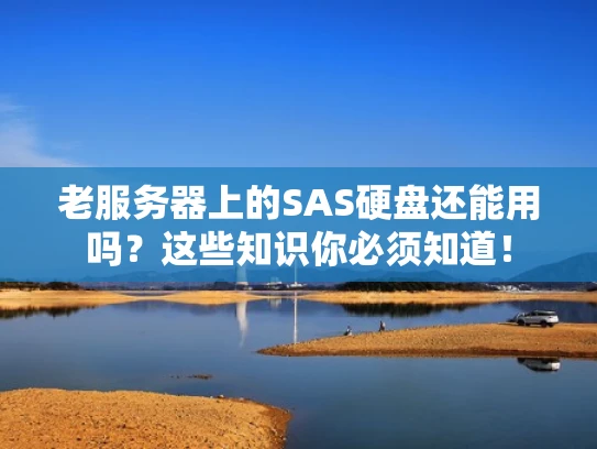 老服务器上的SAS硬盘还能用吗？这些知识你必须知道！