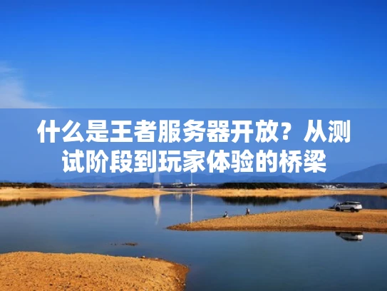 什么是王者服务器开放？从测试阶段到玩家体验的桥梁