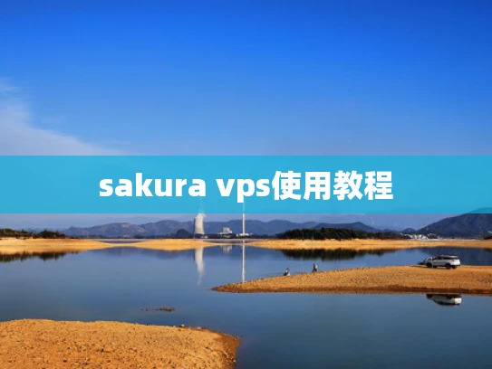 sakura vps使用教程