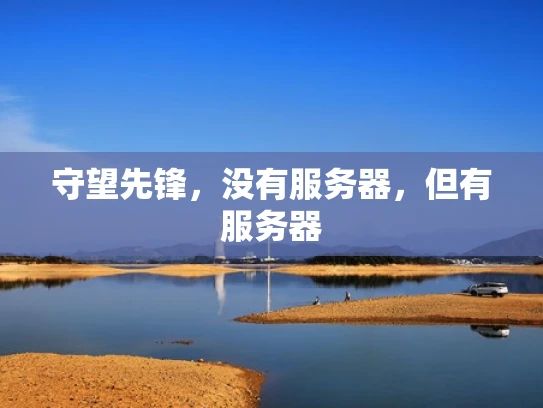 守望先锋，没有服务器，但有服务器
