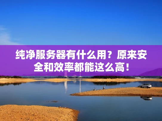 纯净服务器有什么用？原来安全和效率都能这么高！
