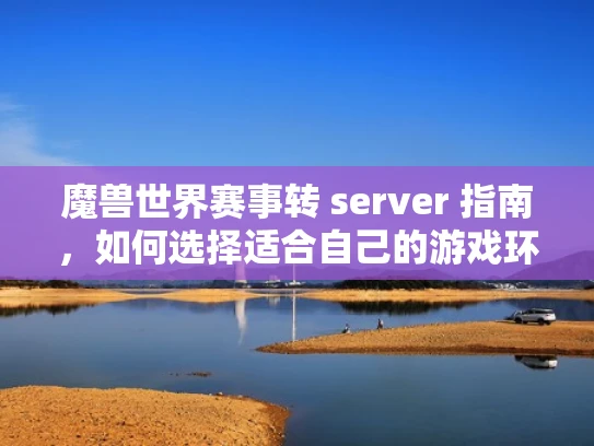 魔兽世界赛事转 server 指南，如何选择适合自己的游戏环境