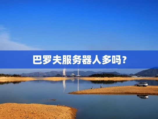 巴罗夫服务器人多吗？