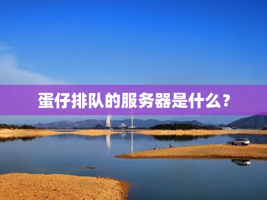 蛋仔排队的服务器是什么？