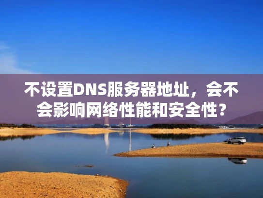 不设置DNS服务器地址，会不会影响网络性能和安全性？