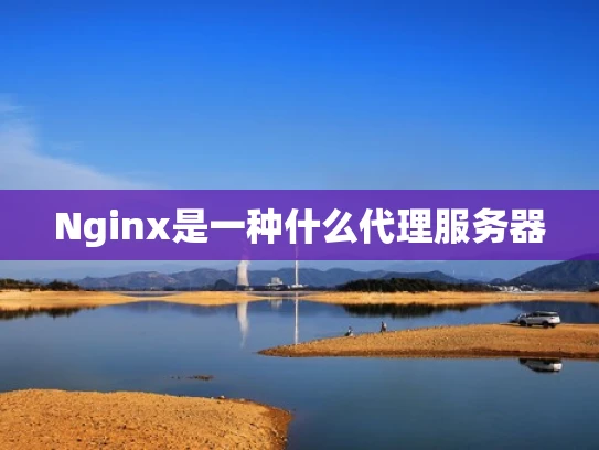 Nginx是一种什么代理服务器