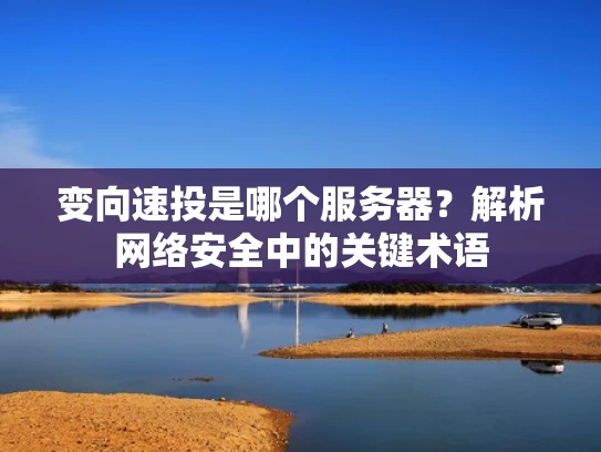 变向速投是哪个服务器？解析网络安全中的关键术语