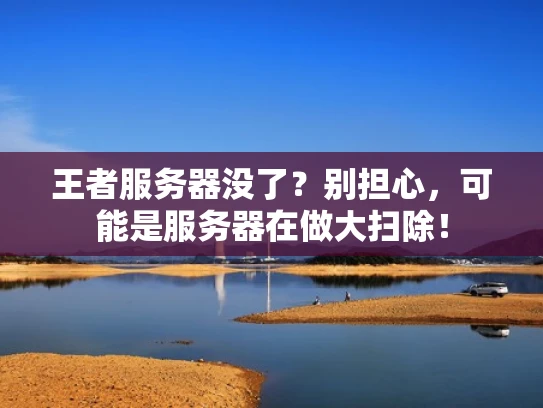 王者服务器没了？别担心，可能是服务器在做大扫除！
