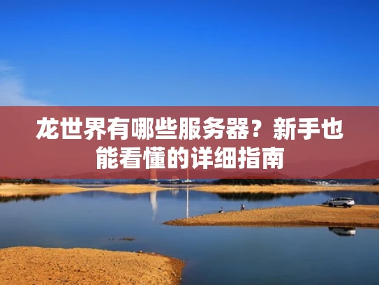 龙世界有哪些服务器？新手也能看懂的详细指南