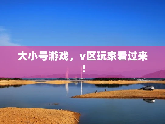 大小号游戏，v区玩家看过来！