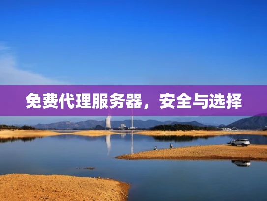 免费代理服务器，安全与选择