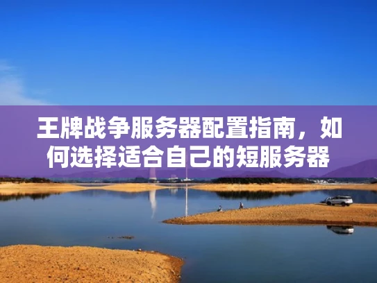 王牌战争服务器配置指南，如何选择适合自己的短服务器